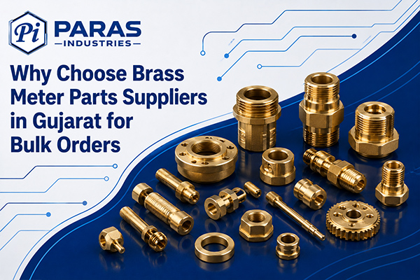 Why Choose Brass Meter Parts Suppliers in Gujarat for Bulk Orders 